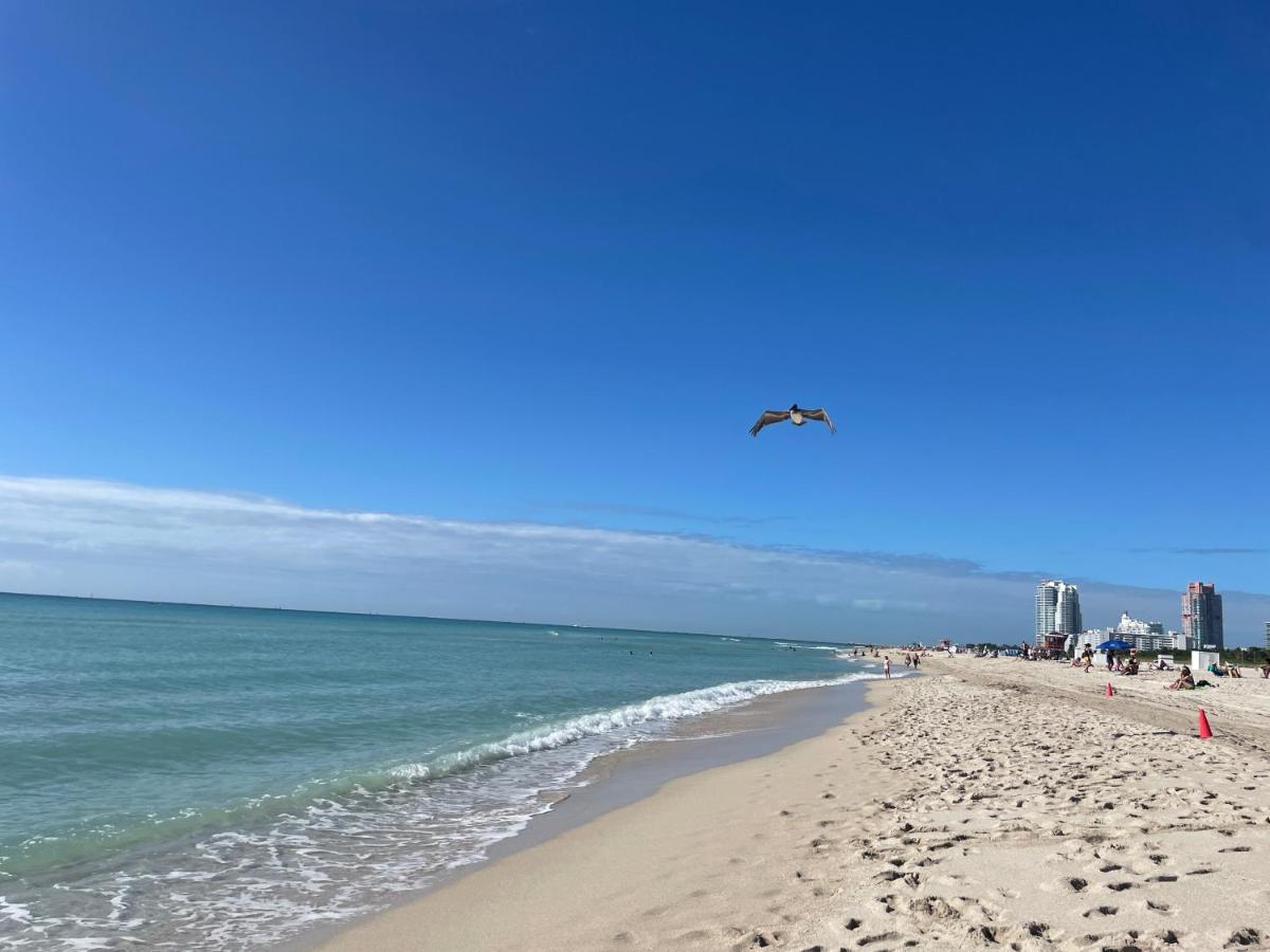 Beachfront Apt In Carlyle Hotel On Ocean Drive 마이애미 비치 외부 사진